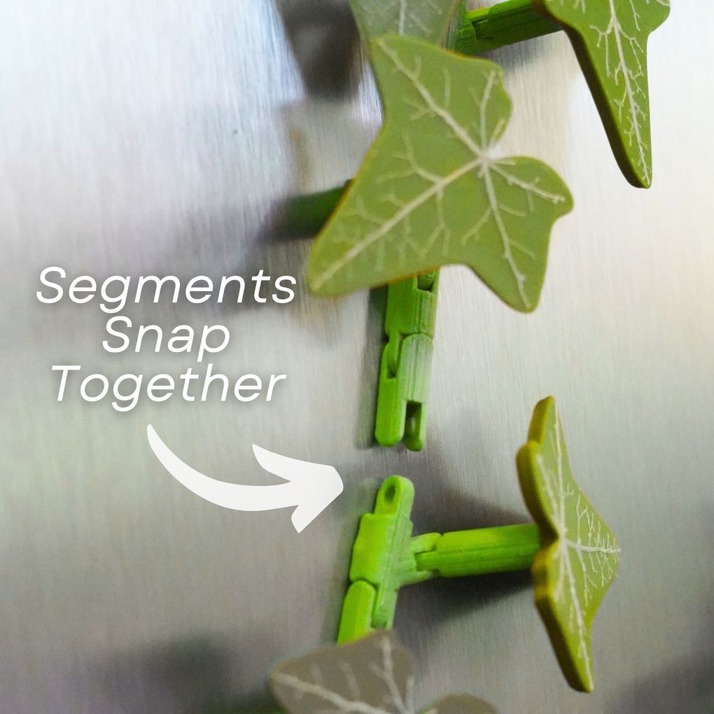 图片[2]-牵牛花 冰箱贴-3D合纵社-3D打印模型STL格式3mf格式免费下载！