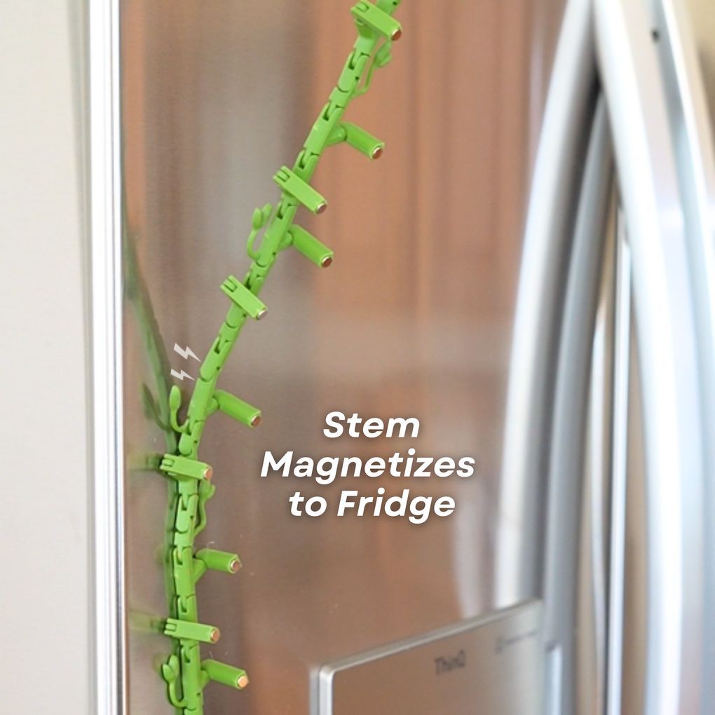 图片[4]-牵牛花 冰箱贴-3D合纵社-3D打印模型STL格式3mf格式免费下载！