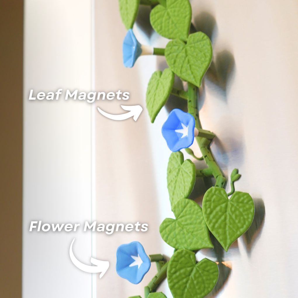 图片[5]-牵牛花 冰箱贴-3D合纵社-3D打印模型STL格式3mf格式免费下载！