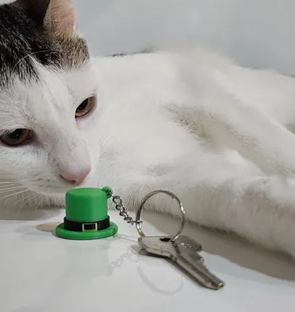 图片[2]-小妖精帽钥匙扣-3D合纵社-3D打印模型STL格式3mf格式免费下载！