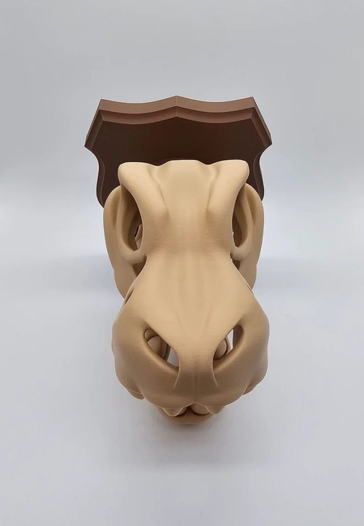 图片[2]-霸王龙头骨墙饰-3D合纵社-3D打印模型STL格式3mf格式免费下载！