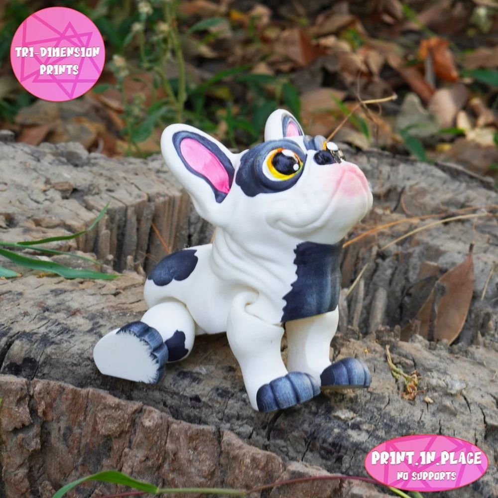 图片[4]-沙皮犬-3D合纵社-3D打印模型STL格式3mf格式免费下载！