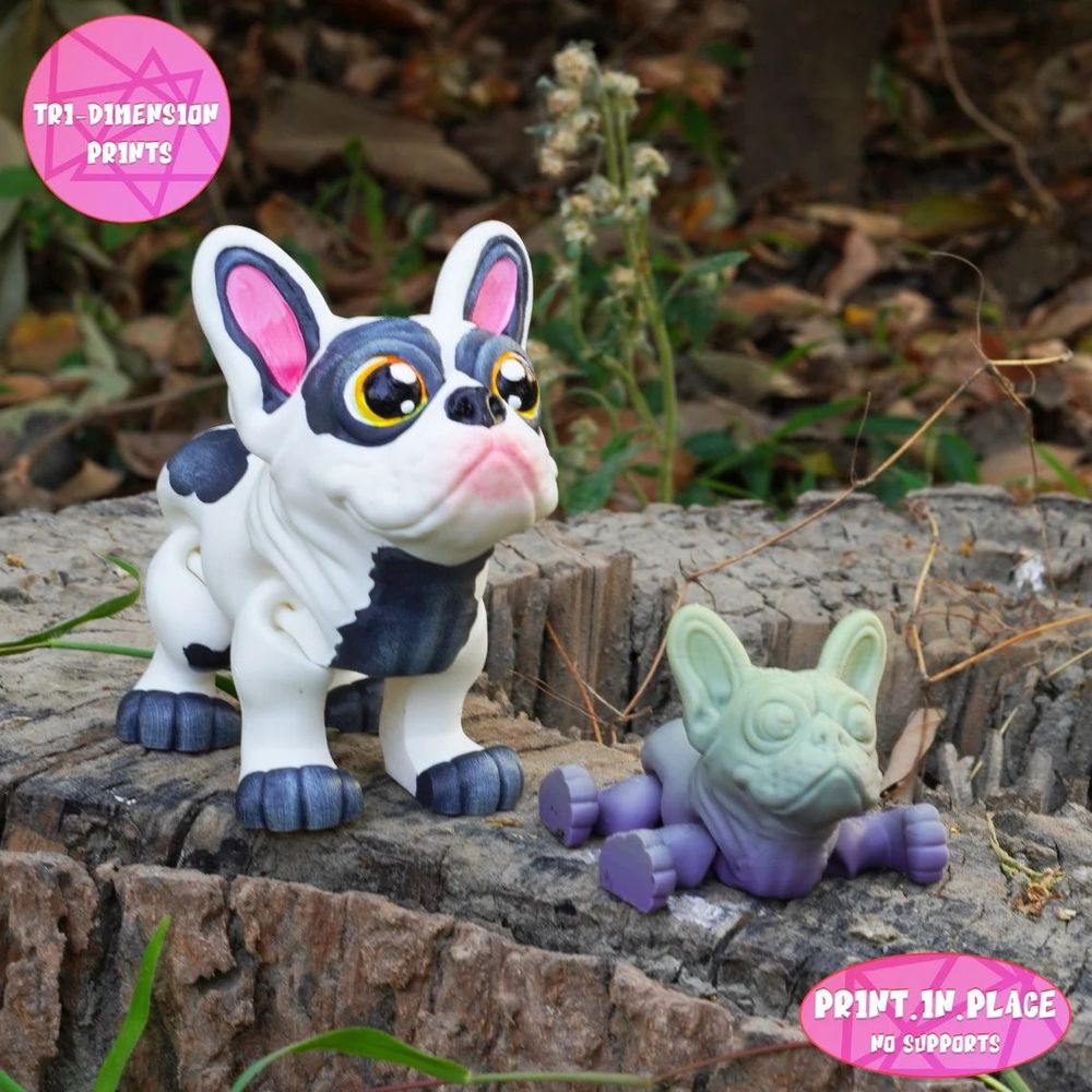 图片[3]-沙皮犬-3D合纵社-3D打印模型STL格式3mf格式免费下载！