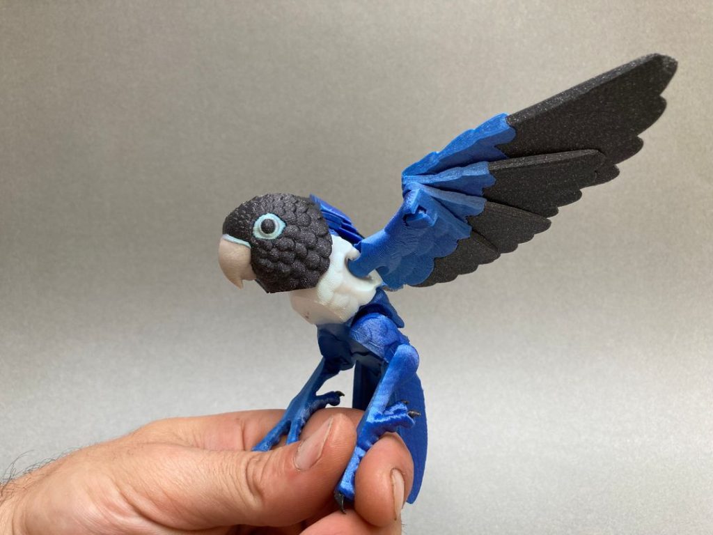 图片[2]-鹦鹉-3D合纵社-3D打印模型STL格式3mf格式免费下载！