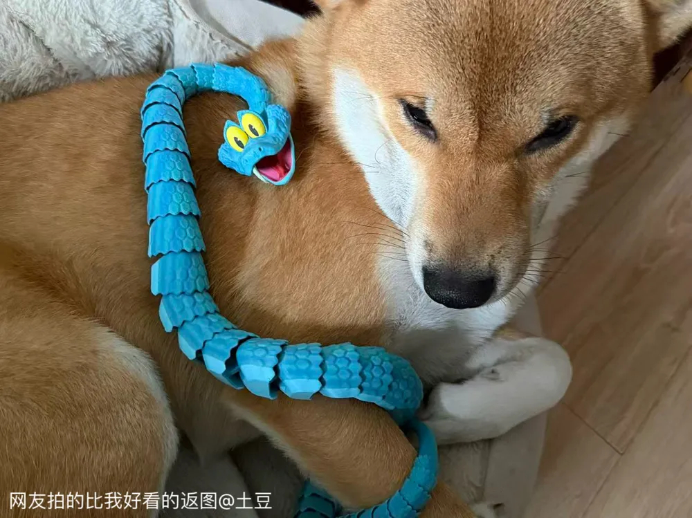 图片[2]-Gary蛇 盖瑞蛇 一条蛇-3D合纵社-3D打印模型STL格式3mf格式免费下载！