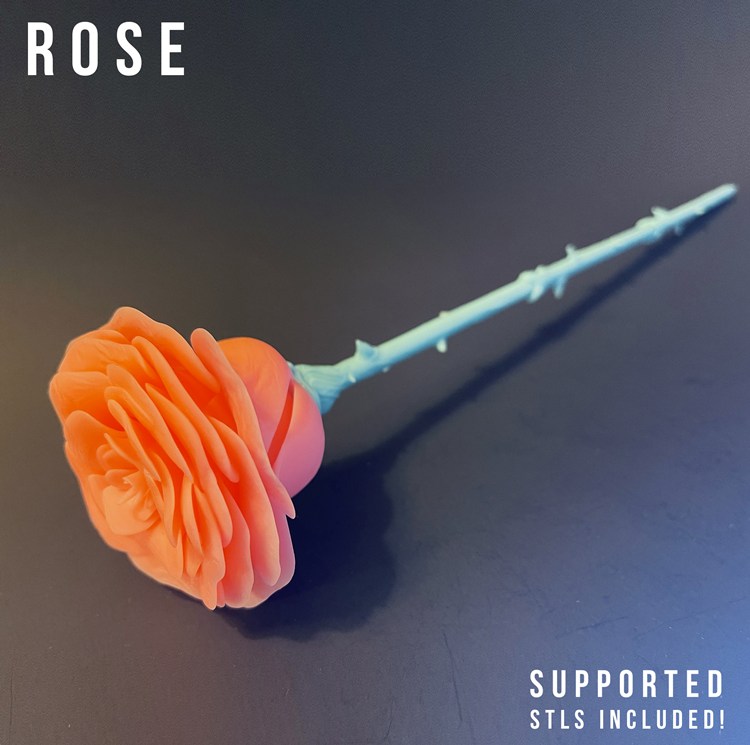 图片[2]-玫瑰花-3D合纵社-3D打印模型STL格式3mf格式免费下载！