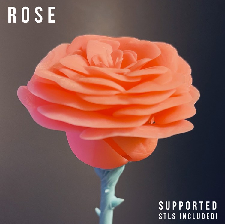玫瑰花-3D合纵社-3D打印模型STL格式3mf格式免费下载！