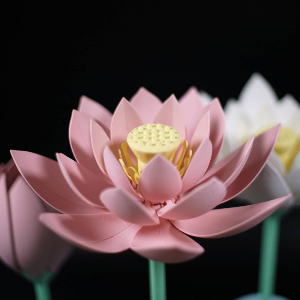 图片[2]-盛开的莲花-3D合纵社-3D打印模型STL格式3mf格式免费下载！