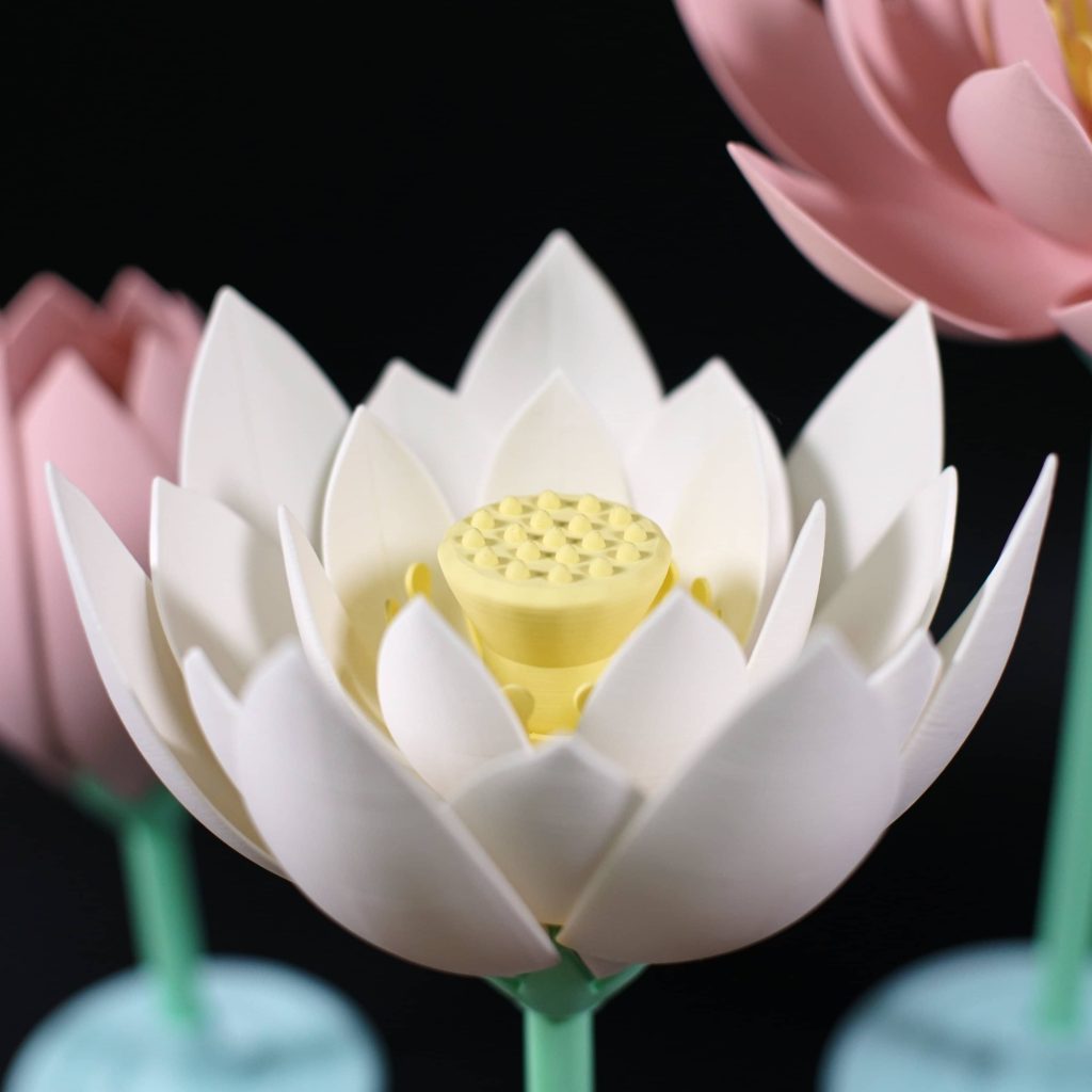 盛开的莲花-3D合纵社-3D打印模型STL格式3mf格式免费下载！