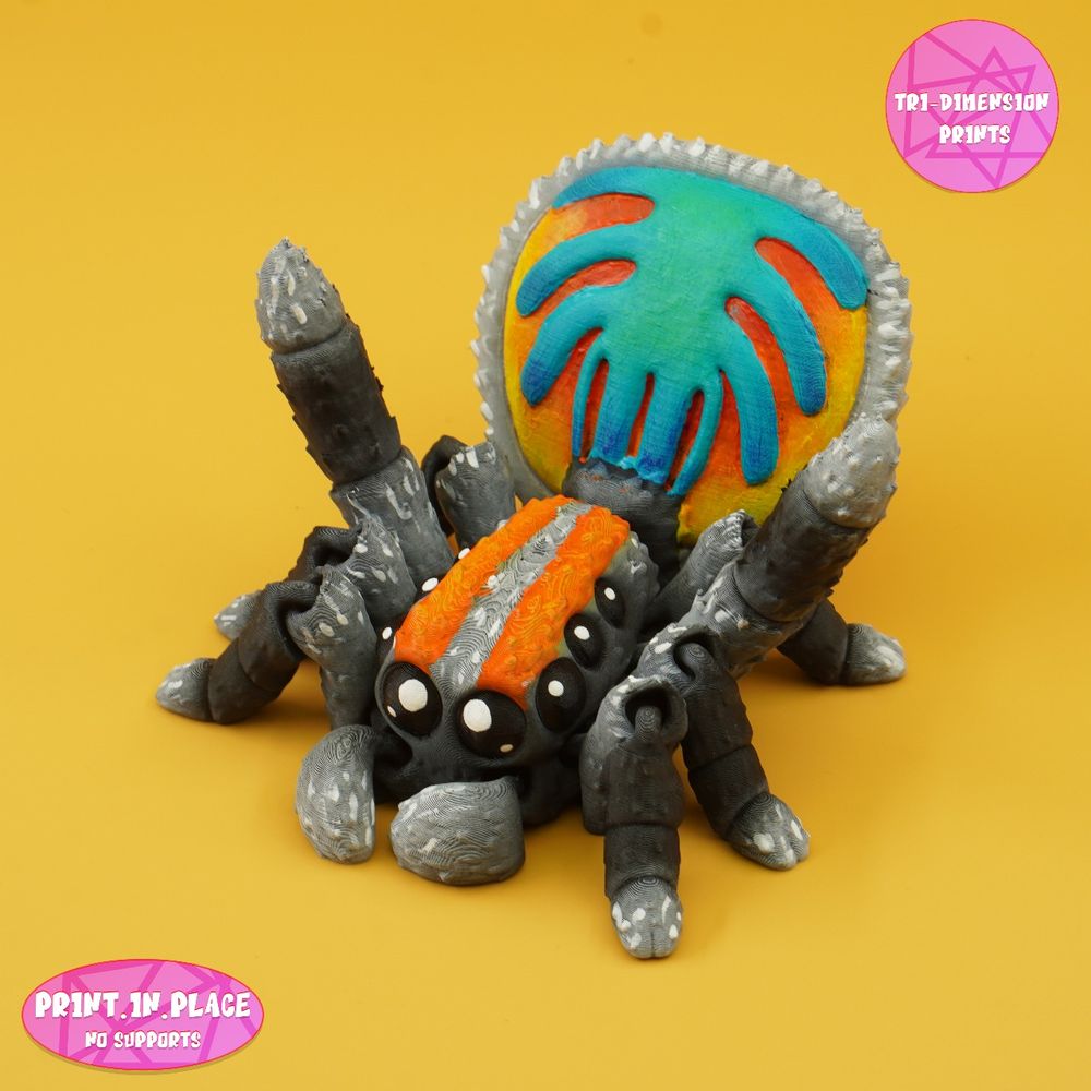 孔雀蜘蛛-TriDimensionPrints-3D合纵社-3D打印模型STL格式3mf格式免费下载！