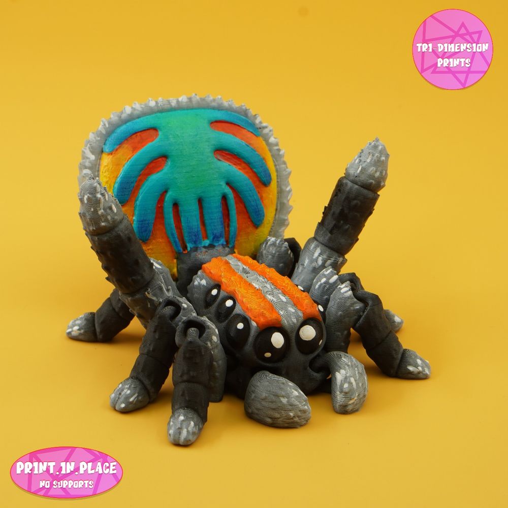 图片[2]-孔雀蜘蛛-TriDimensionPrints-3D合纵社-3D打印模型STL格式3mf格式免费下载！