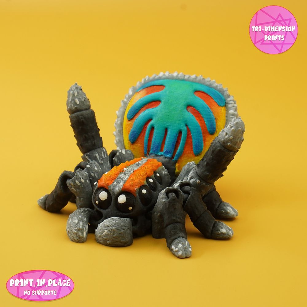 图片[3]-孔雀蜘蛛-TriDimensionPrints-3D合纵社-3D打印模型STL格式3mf格式免费下载！