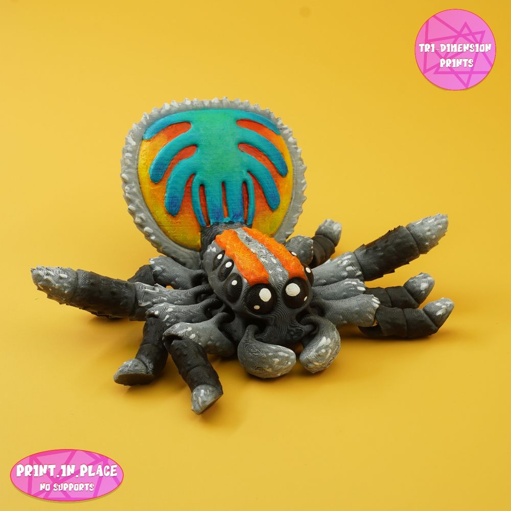 图片[4]-孔雀蜘蛛-TriDimensionPrints-3D合纵社-3D打印模型STL格式3mf格式免费下载！