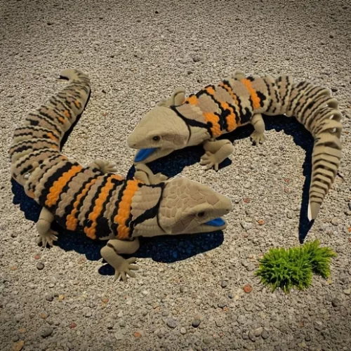 Raki-Box NO:019 蓝舌蜥蜴-Raki-Box-3D合纵社-3D打印模型STL格式3mf格式免费下载！