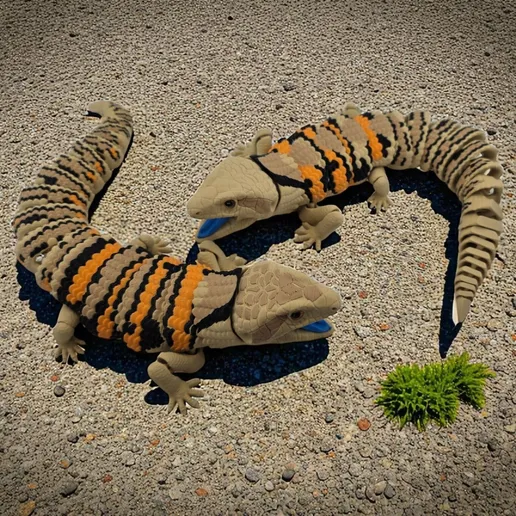 Raki-Box NO:019 蓝舌蜥蜴-Raki-Box-3D合纵社-3D打印模型STL格式3mf格式免费下载！