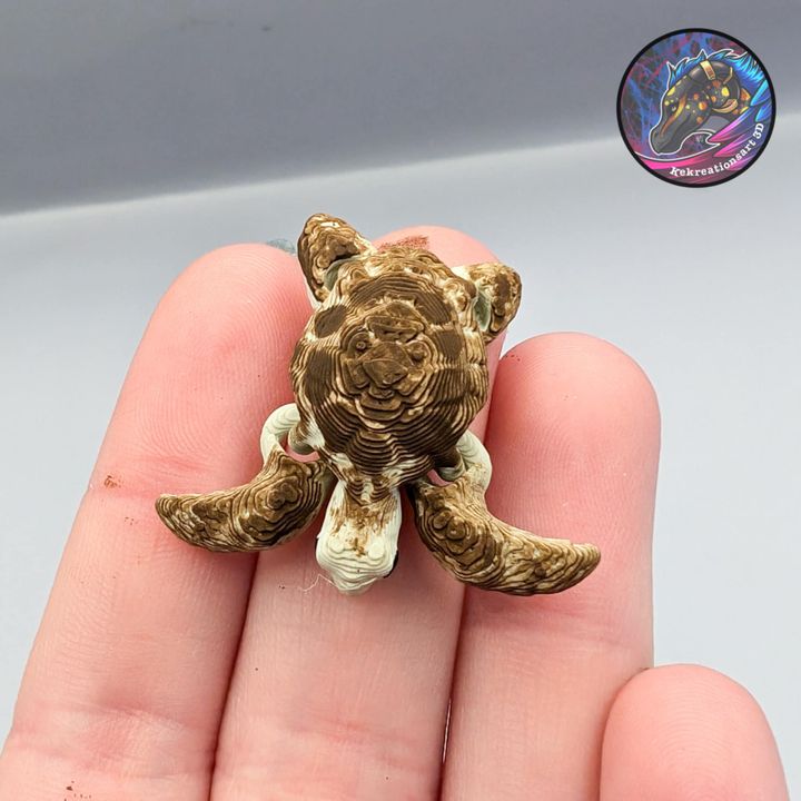 图片[3]-Kirsten M 莱克西纳米海龟-3D合纵社-3D打印模型STL格式3mf格式免费下载！