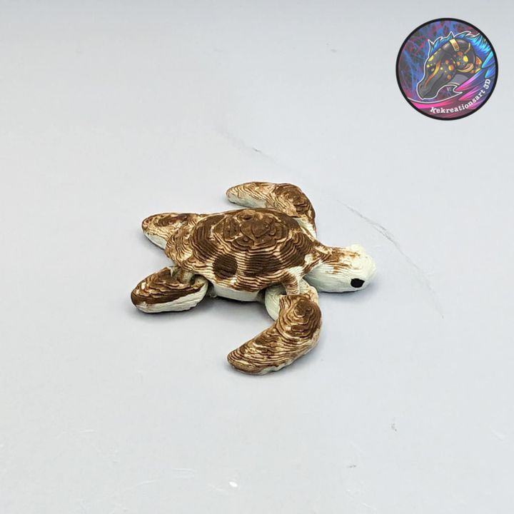 图片[4]-Kirsten M 莱克西纳米海龟-3D合纵社-3D打印模型STL格式3mf格式免费下载！