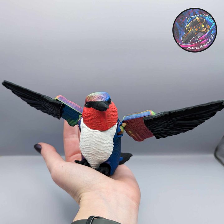 图片[4]-Kirsten M 柔性蜂鸟-3D合纵社-3D打印模型STL格式3mf格式免费下载！