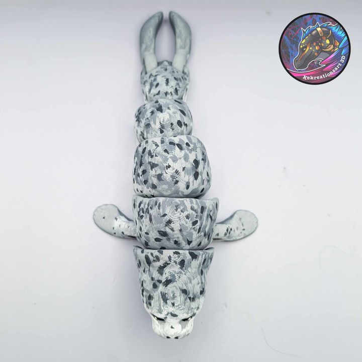 图片[3]-Kirsten M 斑海豹-3D合纵社-3D打印模型STL格式3mf格式免费下载！