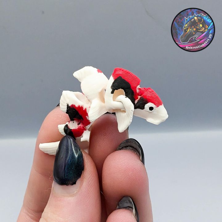 图片[2]-Kirsten M 小型锦鲤-3D合纵社-3D打印模型STL格式3mf格式免费下载！