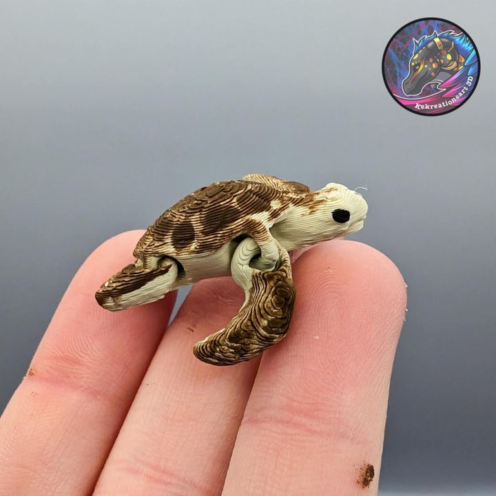 图片[5]-Kirsten M 莱克西纳米海龟-3D合纵社-3D打印模型STL格式3mf格式免费下载！