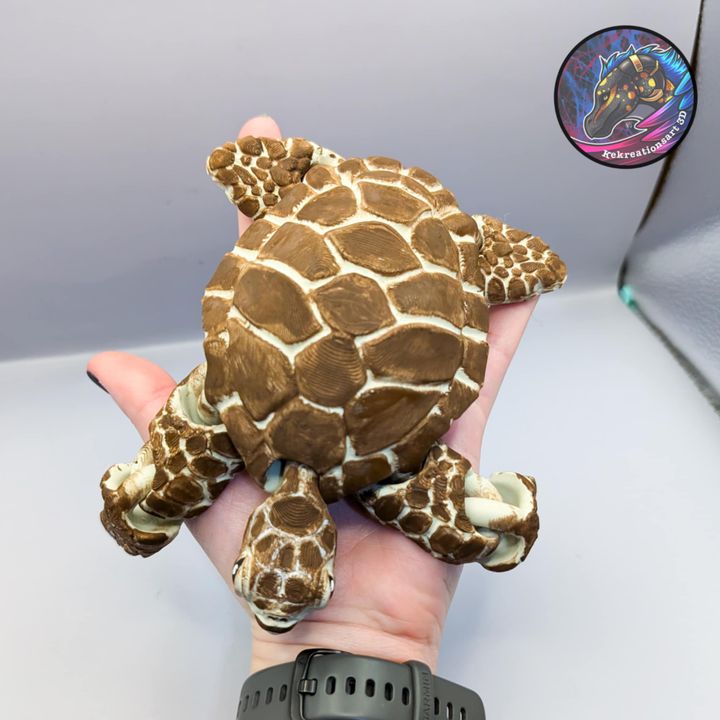 图片[3]-Kirsten M 海龟-3D合纵社-3D打印模型STL格式3mf格式免费下载！