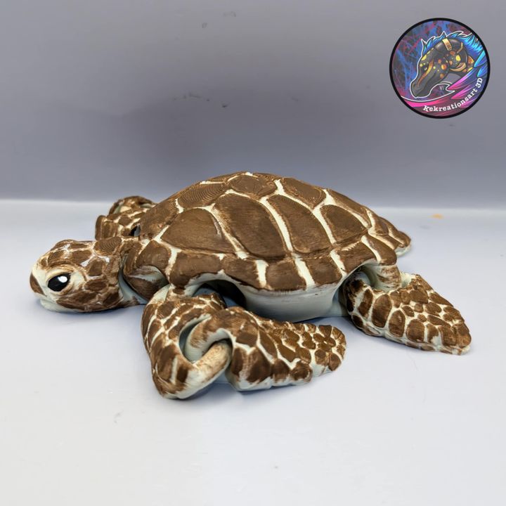 图片[4]-Kirsten M 海龟-3D合纵社-3D打印模型STL格式3mf格式免费下载！