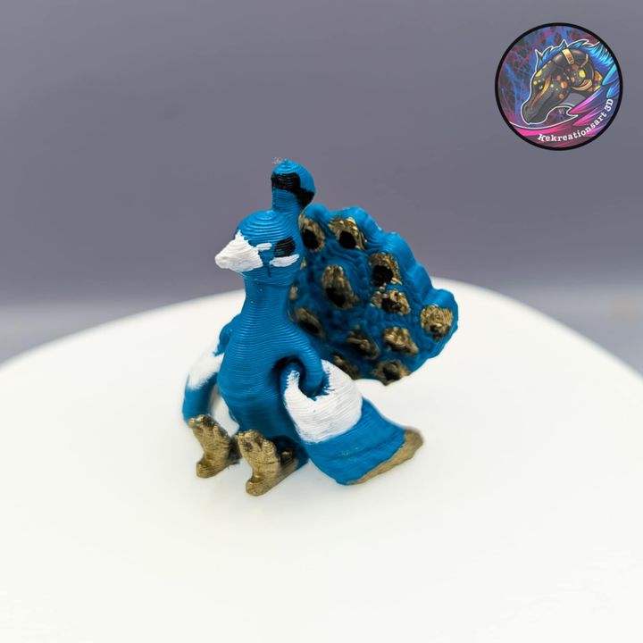 图片[4]-Kirsten M 小型孔雀-3D合纵社-3D打印模型STL格式3mf格式免费下载！