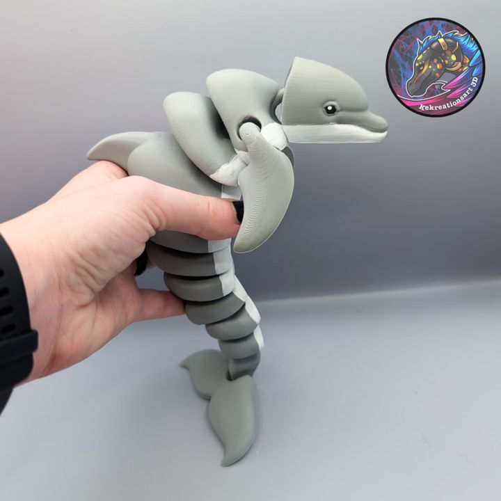 图片[4]-Kirsten M 海豚-3D合纵社-3D打印模型STL格式3mf格式免费下载！