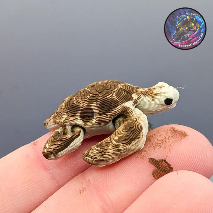 图片[2]-Kirsten M 莱克西纳米海龟-3D合纵社-3D打印模型STL格式3mf格式免费下载！