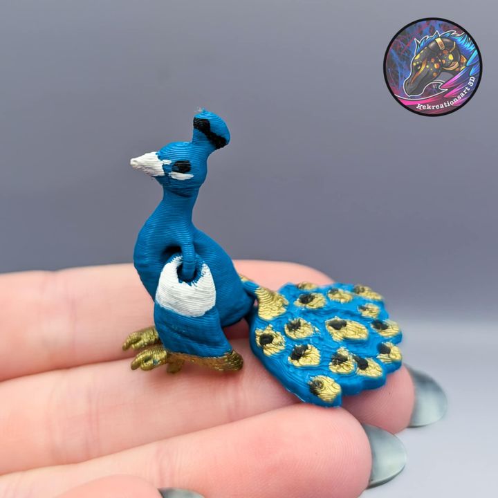 Kirsten M 小型孔雀-3D合纵社-3D打印模型STL格式3mf格式免费下载！