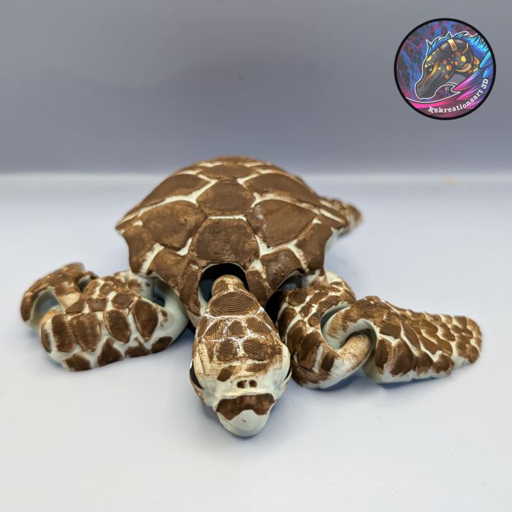 图片[5]-Kirsten M 海龟-3D合纵社-3D打印模型STL格式3mf格式免费下载！