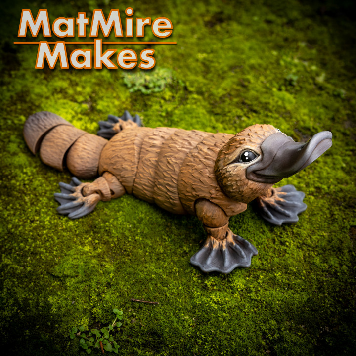 图片[5]-MatMire Makes NO:019 鸭嘴兽-3D合纵社-3D打印模型STL格式3mf格式免费下载！