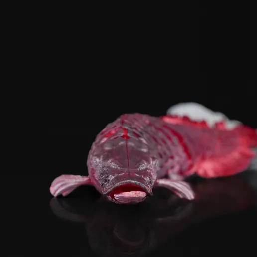 图片[4]-巨骨舌鱼-3D合纵社-3D打印模型STL格式3mf格式免费下载！