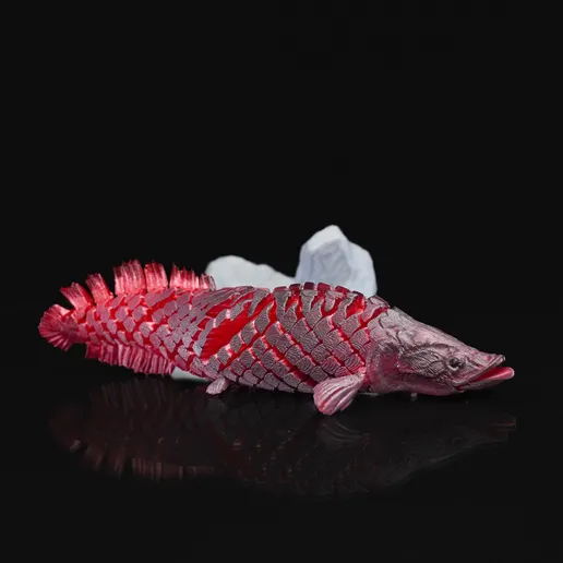 图片[3]-巨骨舌鱼-3D合纵社-3D打印模型STL格式3mf格式免费下载！