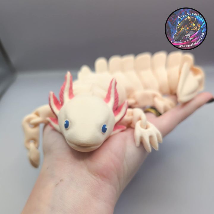 图片[4]-Kirsten M 蝾螈-3D合纵社-3D打印模型STL格式3mf格式免费下载！