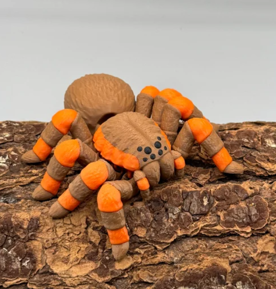 图片[3]-Tactical Kaoz NO:016 狼蛛-3D合纵社-3D打印模型STL格式3mf格式免费下载！