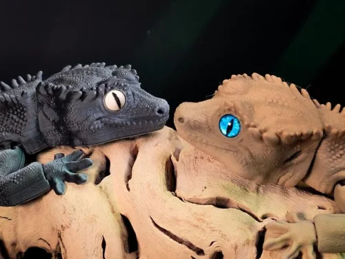 睫角守宫-3D合纵社-3D打印模型STL格式3mf格式免费下载！