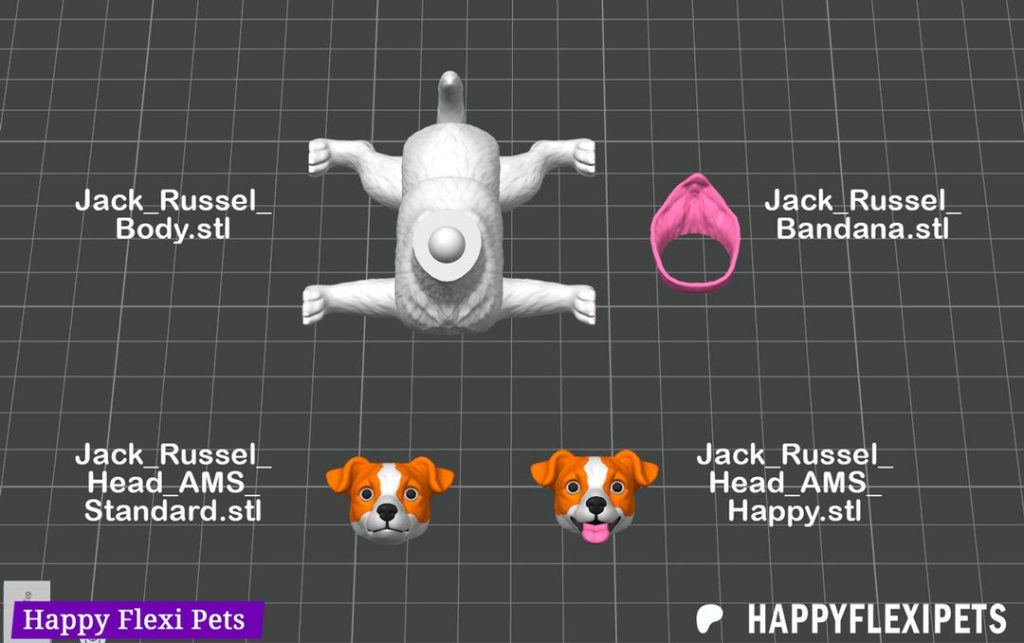 图片[2]-杰克罗素犬