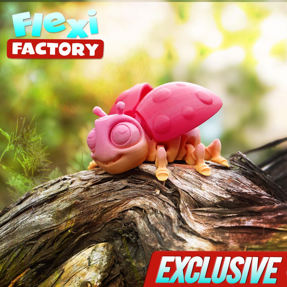 图片[2]-七星瓢虫