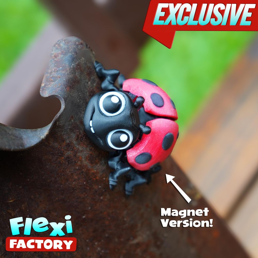 图片[3]-七星瓢虫