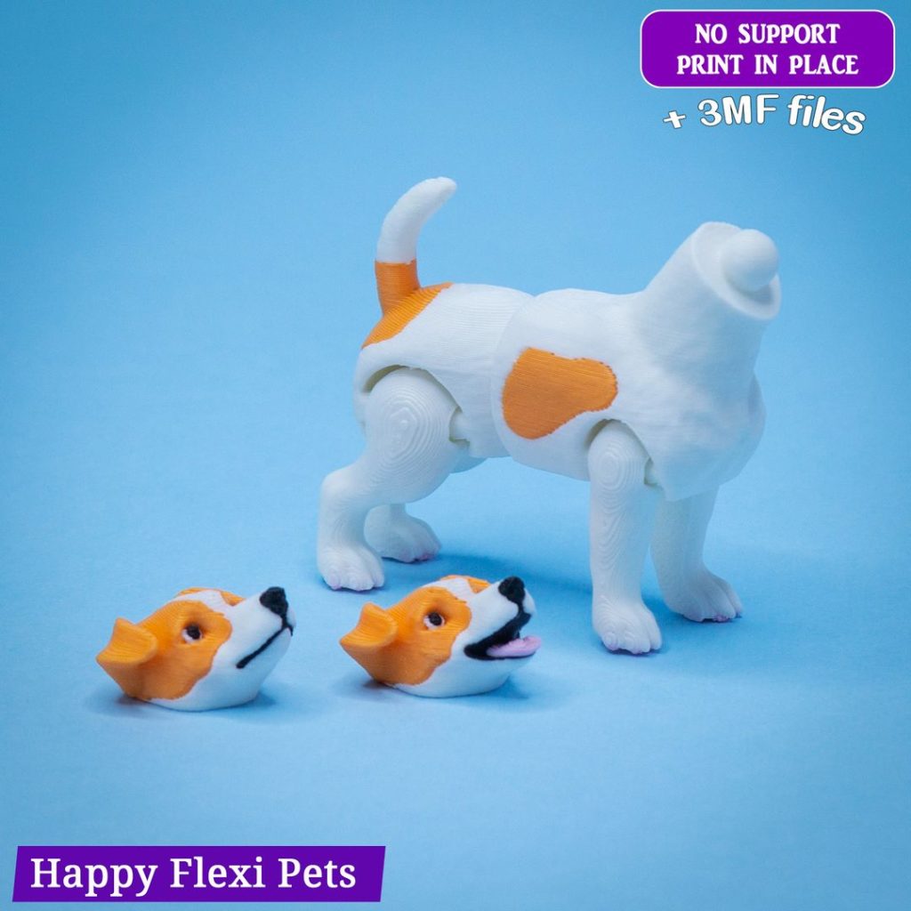 图片[4]-杰克罗素犬