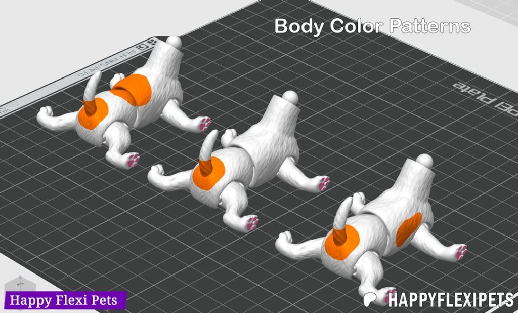 图片[5]-杰克罗素犬