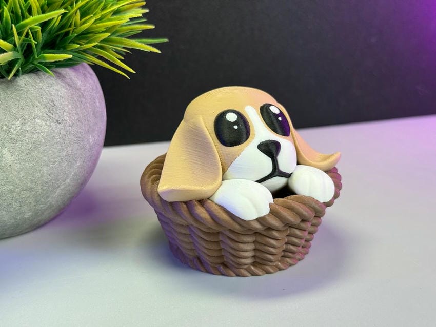 图片[3]-篮子小狗