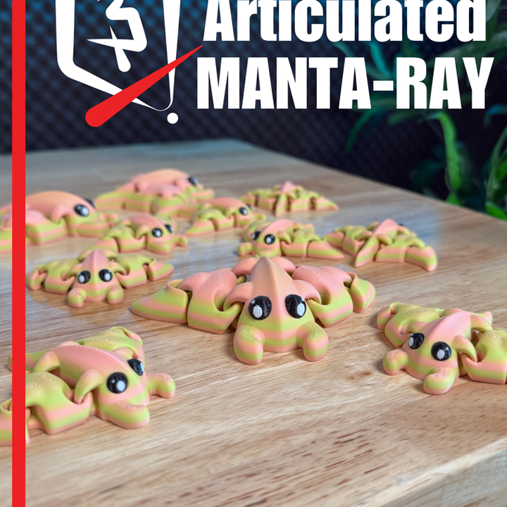 Plastic-3D NO.092 蝠鳐