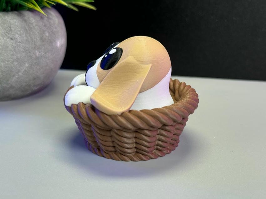 图片[4]-篮子小狗