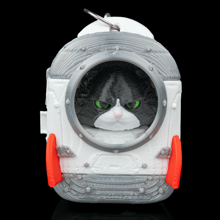 缅因猫-3D合纵社-3D打印模型STL格式3mf格式免费下载！