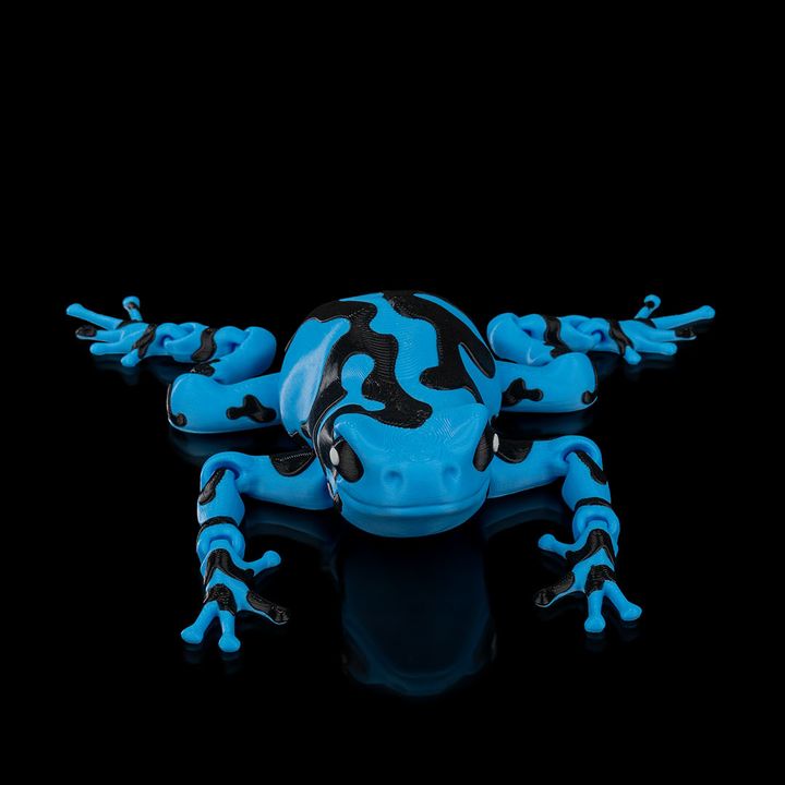 图片[4]-Stlflix 箭毒蛙-3D合纵社-3D打印模型STL格式3mf格式免费下载！