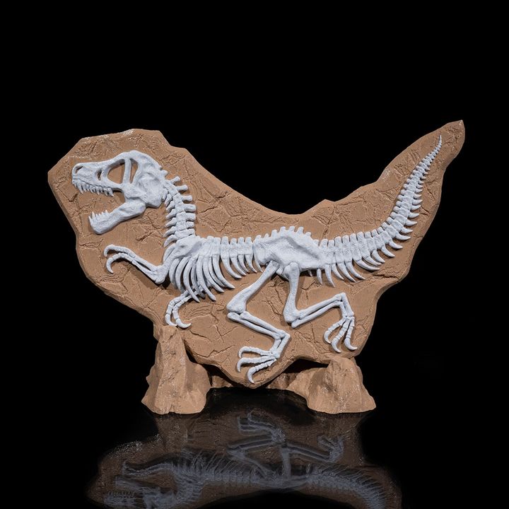 图片[4]-Stlflix 恐龙化石-3D合纵社-3D打印模型STL格式3mf格式免费下载！
