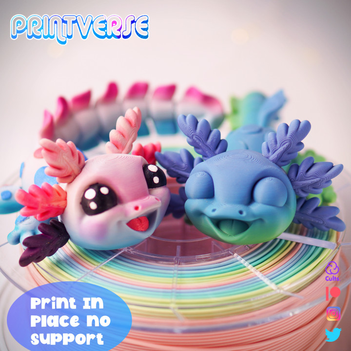 图片[2]-Printverse 可爱幼年美西螈-3D合纵社-3D打印模型STL格式3mf格式免费下载！
